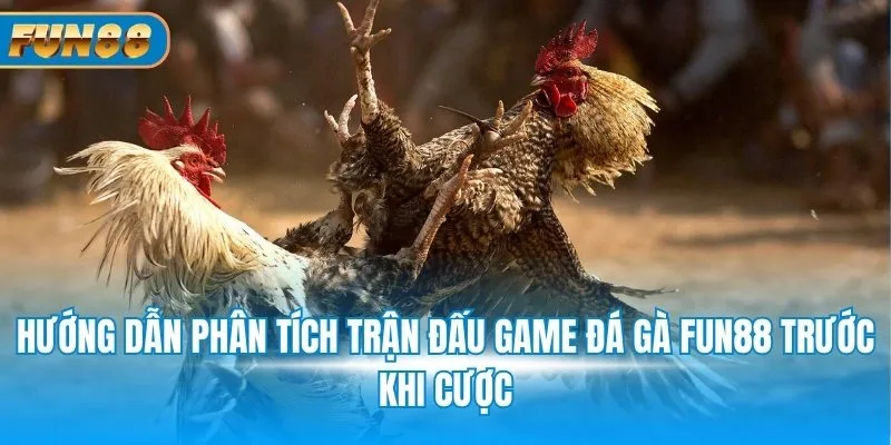 Hướng dẫn phân tích trận đấu game đá gà Fun88 trước khi xuống tiền